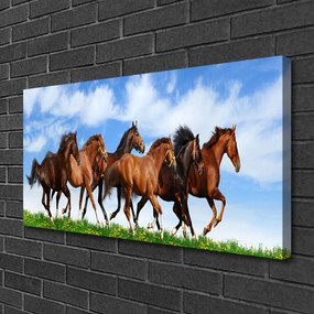 Obraz Canvas Cválajúci kone na pastvine 100x50 cm