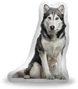 Sablio 3D vankúš Sibírsky husky