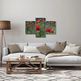 Obraz - Lúka s vlčími makmi (90x60 cm)
