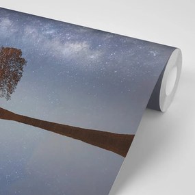 Samolepiaca fototapeta hviezdna obloha nad osamelým stromom