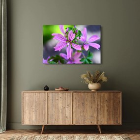 Detailný obraz kvetiny (90x60 cm)