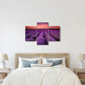 Obraz - Levanduľové pole (90x60 cm)