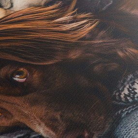 Obraz ležiacich psov (120x50 cm)
