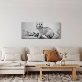 Obraz - Líška šedá (120x50 cm)