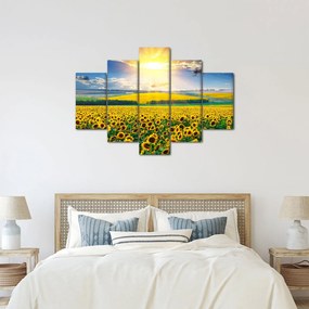 Obraz - Pole slnečníc (150x105 cm)