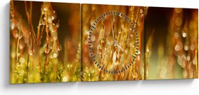 Obraz - Detail rosy (s hodinami) (90x30 cm)