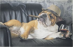 Rohožka anglický buldok - 75*50*1cm