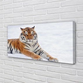 Obraz na plátne Tiger winter 125x50 cm