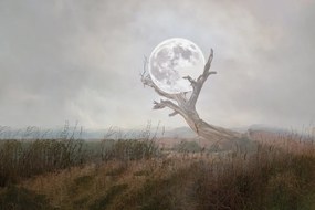 Tapeta mesiac v náručí prírody - 225x150