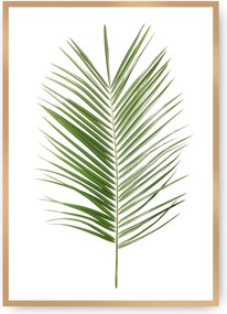 Plagát Palm Leaf Green
