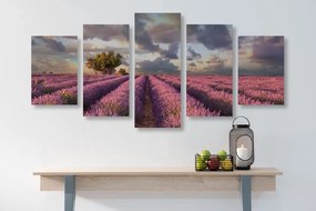 5-dielny obraz krajina levanduľových polí - 100x50