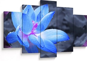 Obraz kvetu v detaile (150x105 cm)