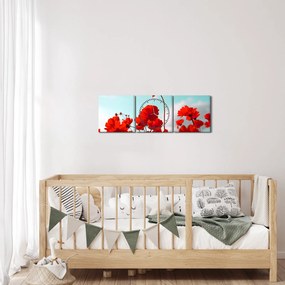 Obraz poľa s jasne červenými kvetmi (s hodinami) (90x30 cm)