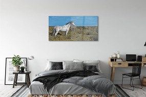 Obraz na akrylátovom skle Unicorn golf 125x50 cm