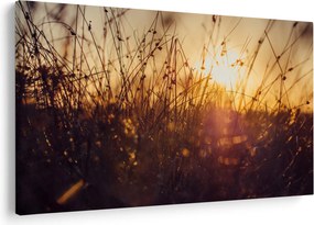 Obraz poľa pri západe slnka (90x60 cm)