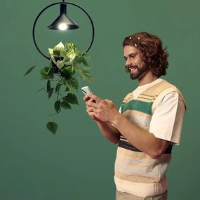 Filamentová smart žiarovka E27, 4 W – WiZ