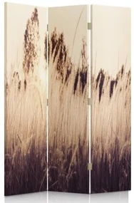 Gario Paraván Vysoké trávy v sépiovej farbe Rozmery: 110 x 170 cm, Prevedenie: Klasický paraván
