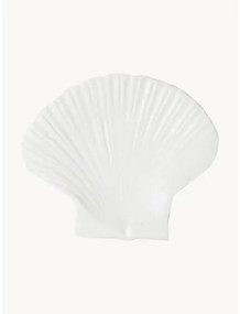 Dezertný tanier Shell
