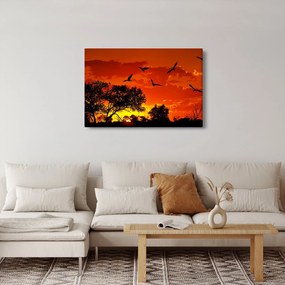 Obraz vtákov pri západe slnka (90x60 cm)