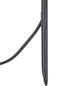 Bodové svietidlo so zemným hrotom čierne 40 cm vrátane LED nastaviteľné IP65 vrátane kábla a zástrčky - Carl