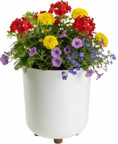 Plastový květináč na nožičkách Terra - výber z 6 prevedení