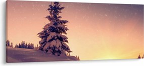 Obraz zasneženého stromu na lúke (120x50 cm)