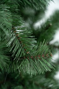 Limpol Jedľa Super Lux 2,40 m