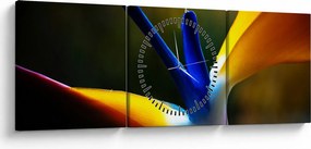 Obraz - Exotický kvet (s hodinami) (90x30 cm)