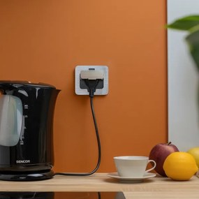 Brilagi - Vonkajšia vstavaná podlahová zásuvka IP55 matný chróm obdĺžnikový