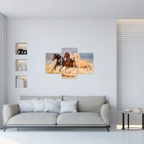 Obraz - Divé kone (90x60 cm)