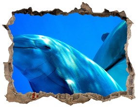 Díra 3D fototapeta nástěnná Dva delfíny nd-k-16277956