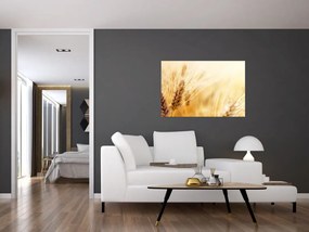 Obraz - detail obilia (90x60 cm)