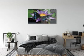 Obraz na akrylátovom skle Motýľ kvetina 125x50 cm