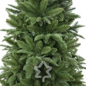 Jedľa Normandská extra hustá 240 cm