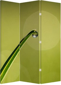 Paraván - Kvapka vody na tráve (126x170 cm)