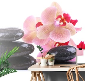 Fototapeta masážne kamene s orchideou