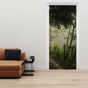 Fototapeta na dvere - Ranná hmla (95x205cm)