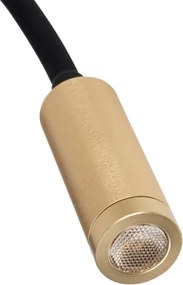 Kanlux 32519 - LED flexibilná lampička TONIL LED/3,3W/230V čierna/zlatá