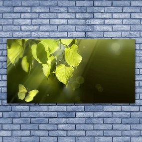 Obraz plexi Listy slnko lúče 120x60 cm