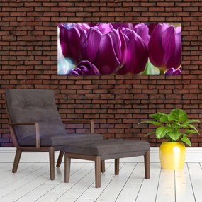 Obraz tulipánov (120x50 cm)