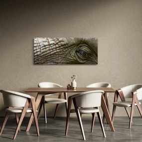 Obraz - Detailné fotografie starého slonieho oka (120x50 cm)