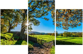 Obraz - Výhľad na pole (90x60 cm)
