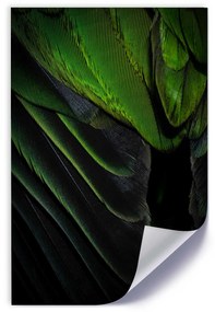 Gario Plagát Perie v boho štýle Farba rámu: Bez rámu, Veľkosť: 30 x 45 cm