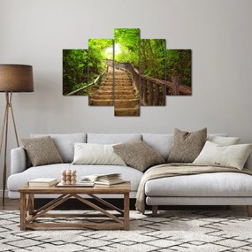 Obraz - Schody v prírode (150x105 cm)