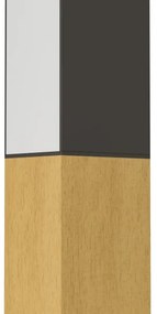 Eglo 900871 - LED Nástenné svietidlo TUDONS LED/12W/230V