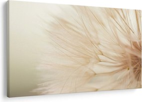 Obraz - Detaily kvetu (90x60 cm)