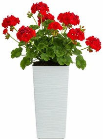PLASTOVÝ KVETINÁČ PORTO RIFLO 36X19X19 CM BIELA