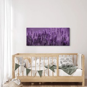 Obraz - Levanduľa (120x50 cm)