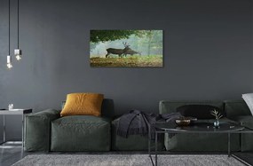 Sklenený obraz Jeleňa na jeseň les 125x50 cm