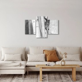 Obraz - Vlk v lese (90x60 cm)